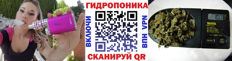 Где купить наркоту Электросталь Бошки Шишки  Псилоцибиновые грибы  Cocaine  Гашиш  МЕФ  АМФ 