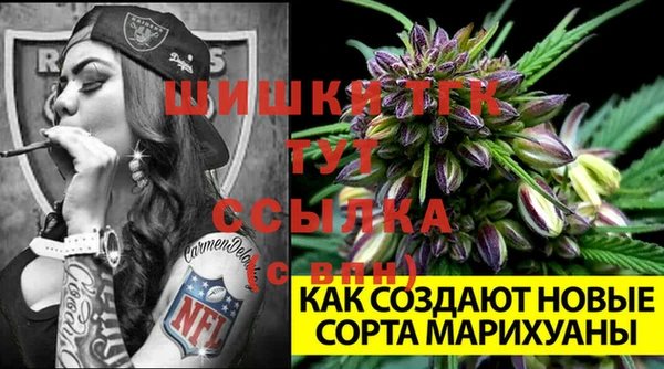 mdma Бородино
