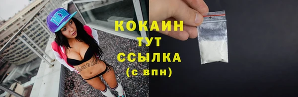 apvp Богородск