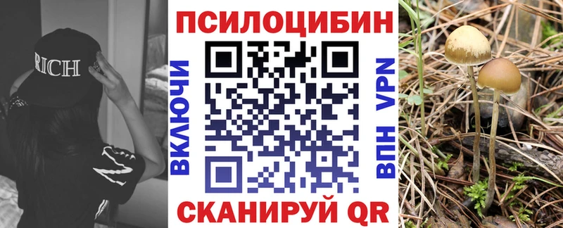 наркота  Электросталь  Псилоцибиновые грибы мухоморы 